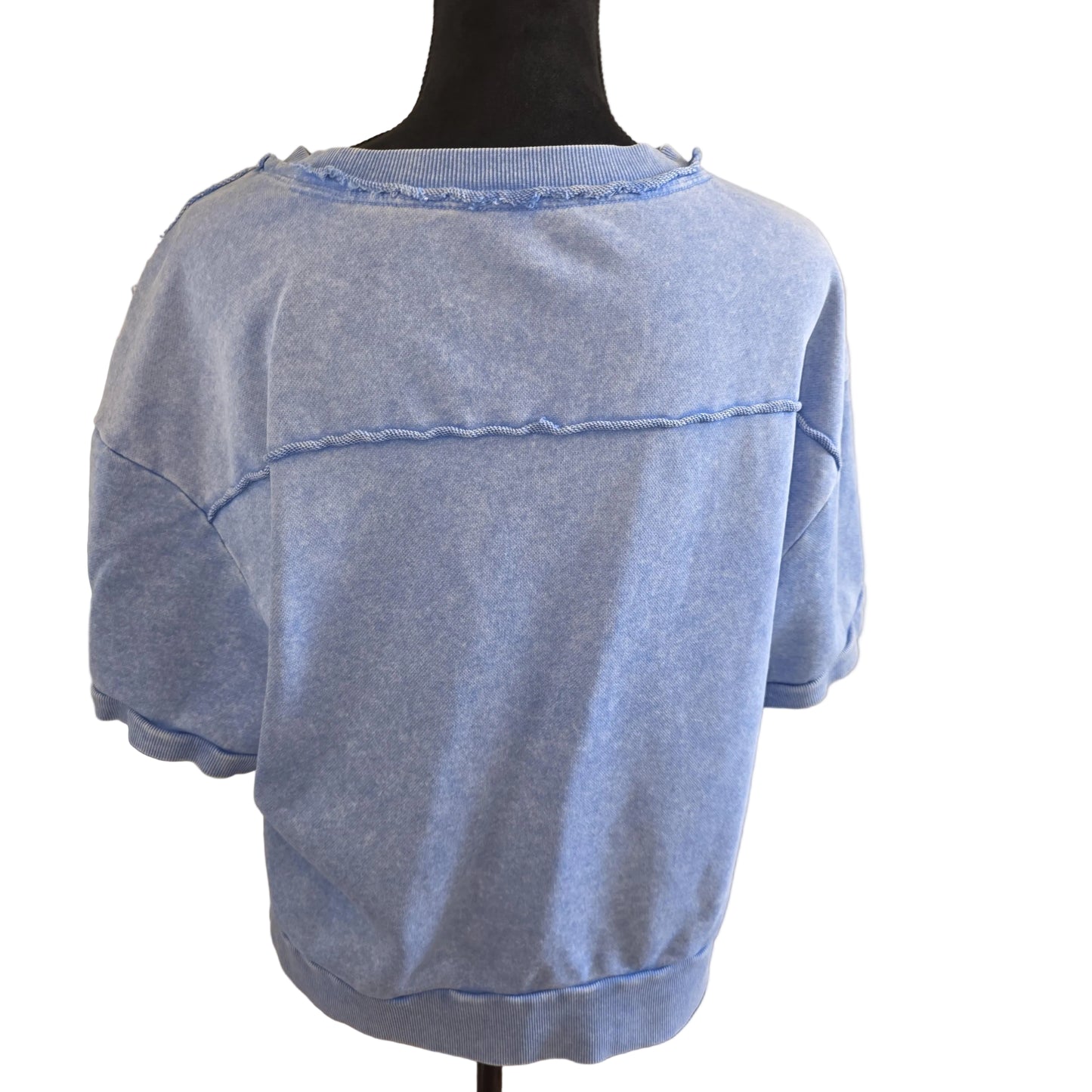 Blue Sweater Large