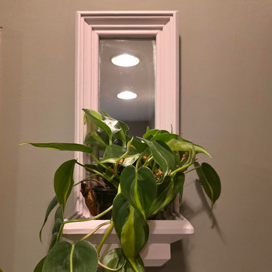 Vintage/upcycled Hanging Wall Planters With Mirror