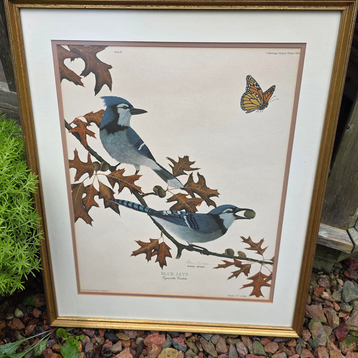 Glenn Wilson Bue Jays Vintage Art Print