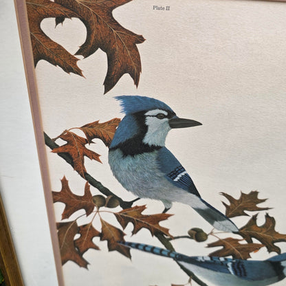 Glenn Wilson Bue Jays Vintage Art Print