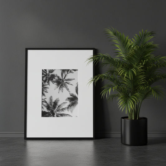 Black and White Framed Wall Art Print