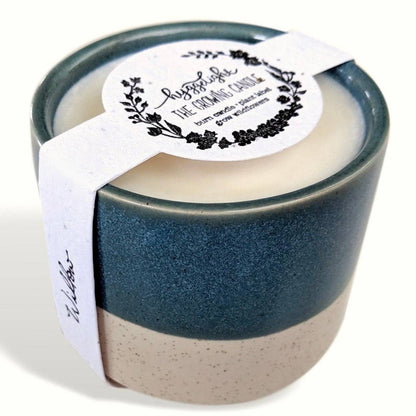 Willow | Growing Candle, flower seed-label, gift idea: Sandalwood + Vanilla