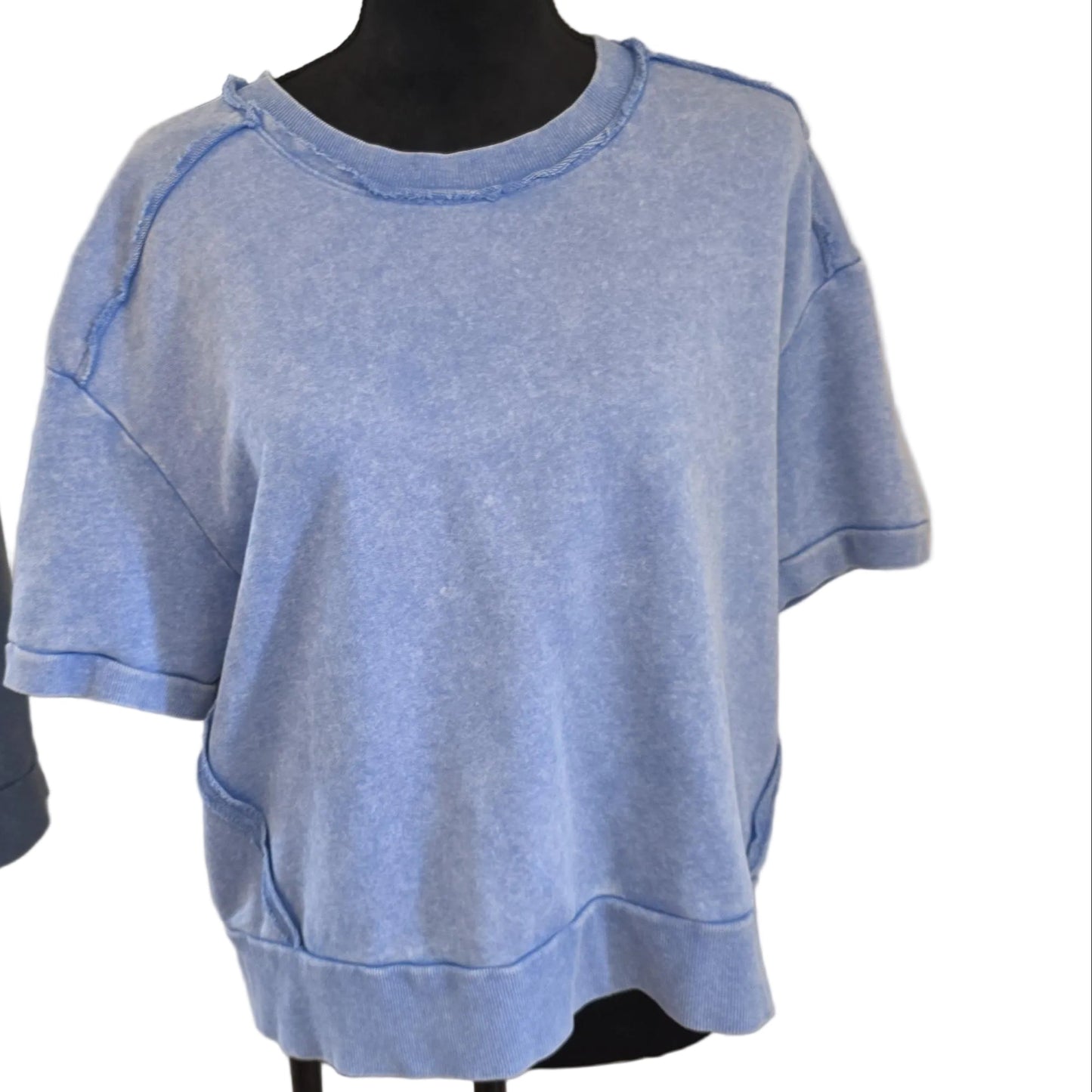 Blue Sweater Large