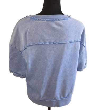 Blue Sweater Large