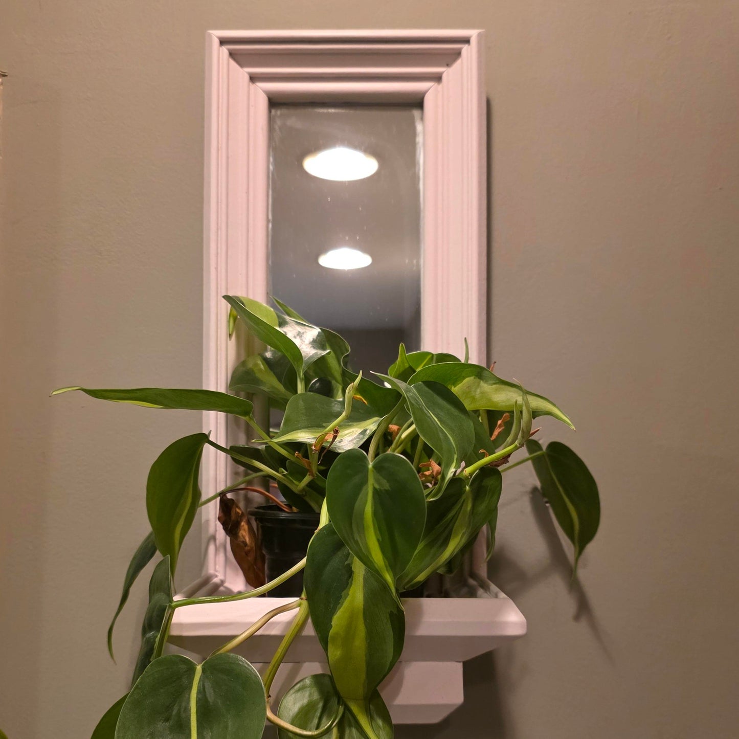Vintage/upcycled Hanging Wall Planters With Mirror
