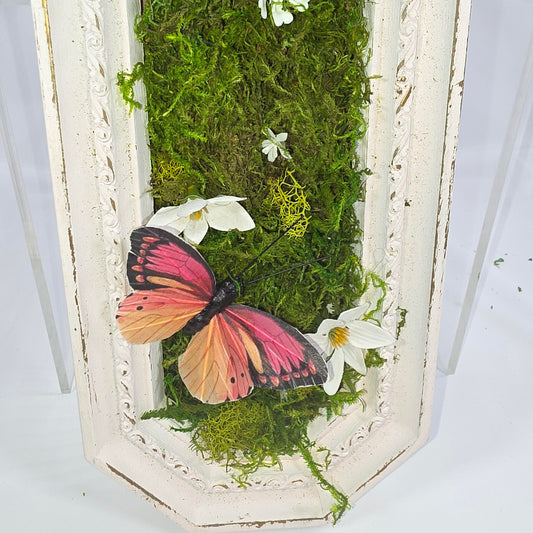 Set of 2 Handmade Moss wall Art from Vintage frames.