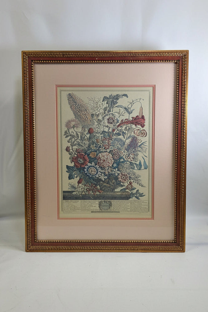 Vintage botanical Print