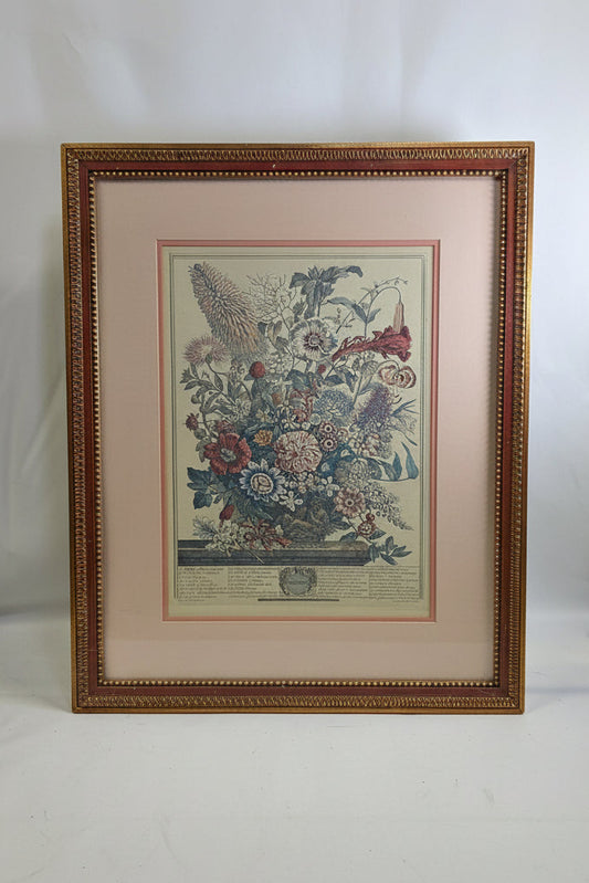 Vintage botanical Print