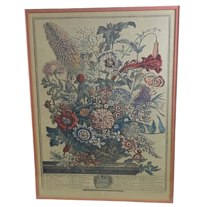 Vintage botanical Print