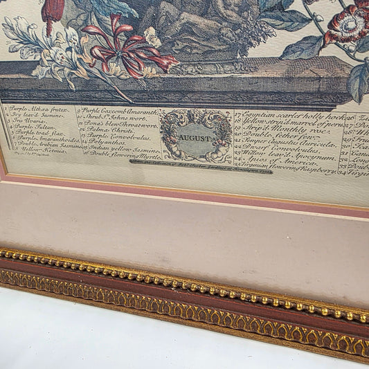 Vintage botanical Print