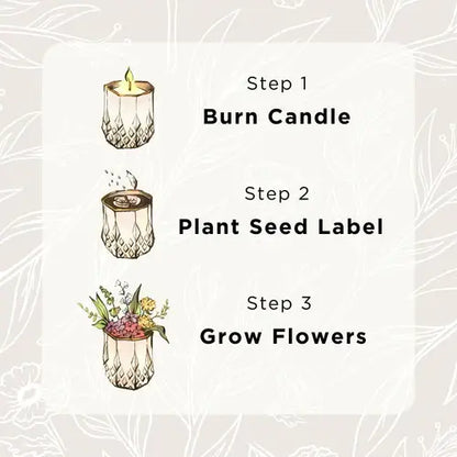 Willow | Growing Candle, flower seed-label, gift idea: NEW! Wild Flowers