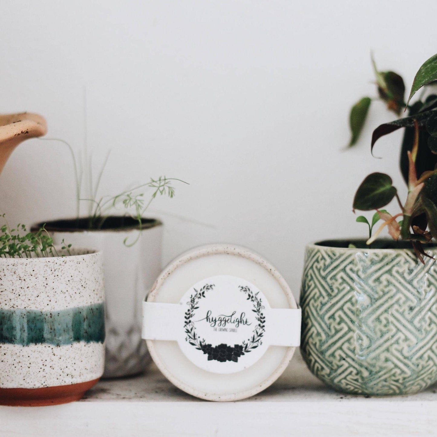 Edith | Growing Candles, flower seed-label, eco-friendly: Lavender