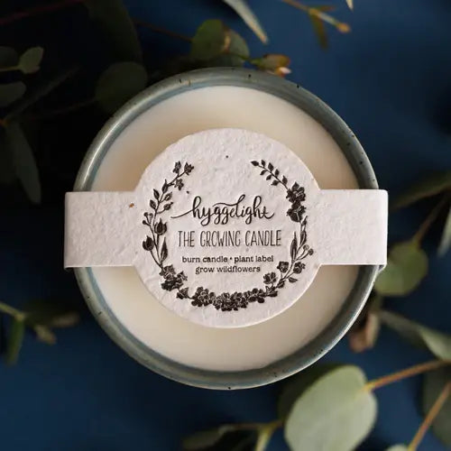 Willow | Growing Candle, flower seed-label, gift idea: Sandalwood + Vanilla