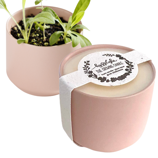Adelyn | Growing Candle, flower seed-label, eco-friendly: Unscented