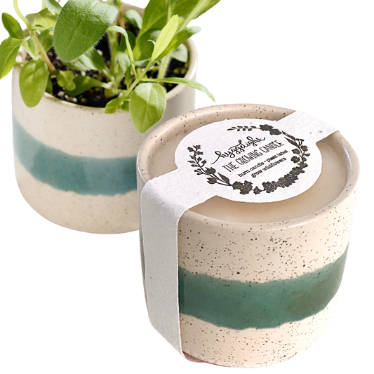 Edith | Growing Candles, flower seed-label, eco-friendly: Lavender
