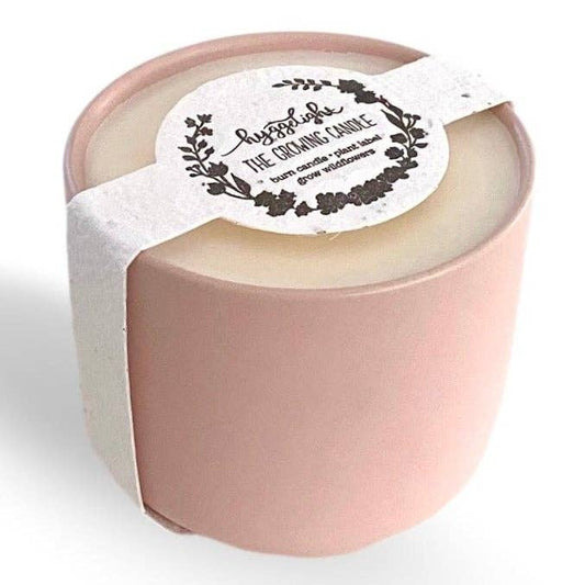Adelyn | Growing Candle, flower seed-label, eco-friendly: Unscented
