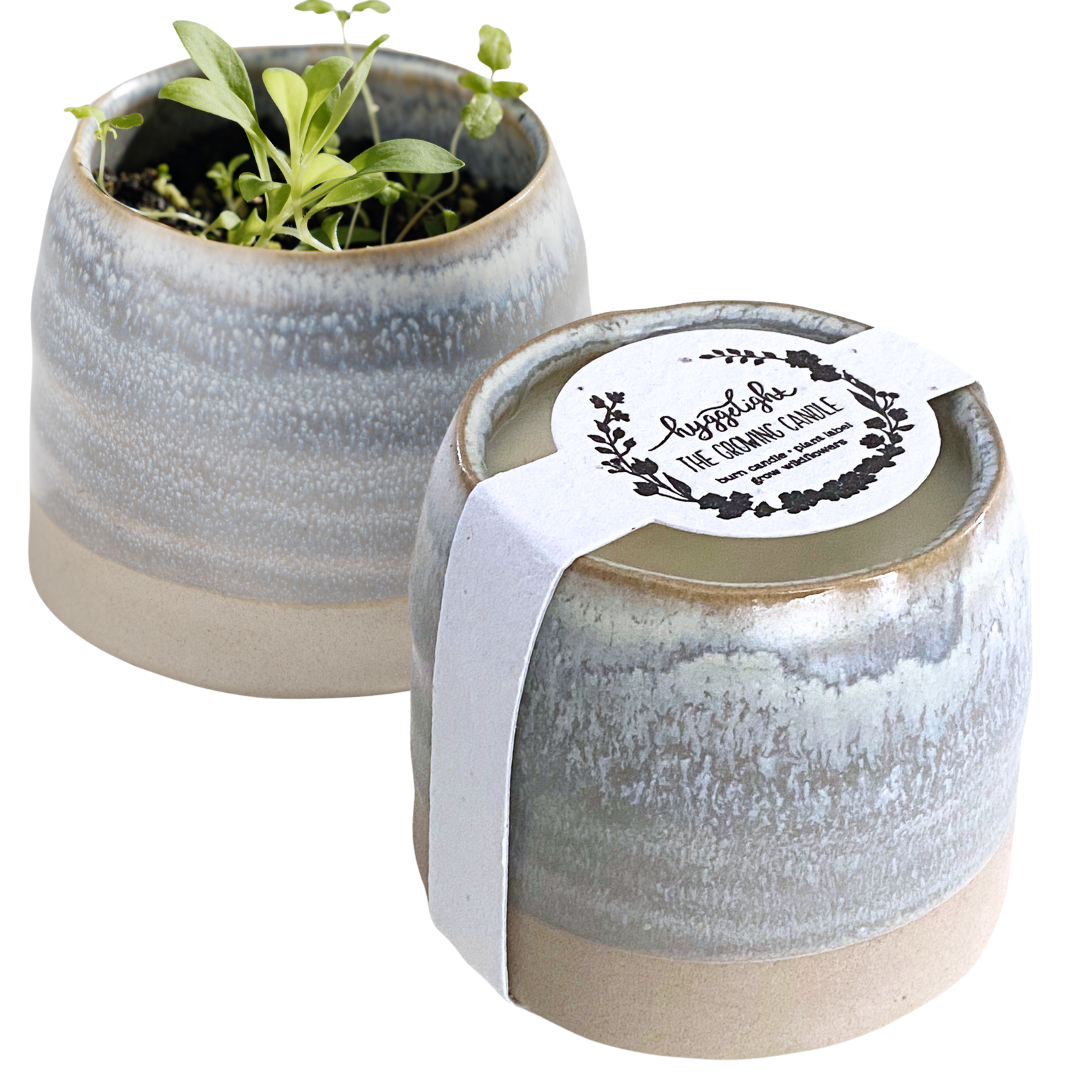 Greta | Growing Candle, flower seed-label, gifts, candles: Chai