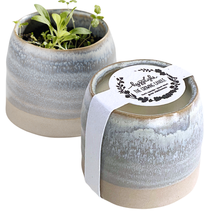 Greta | Growing Candle, flower seed-label, gifts, candles: Chai