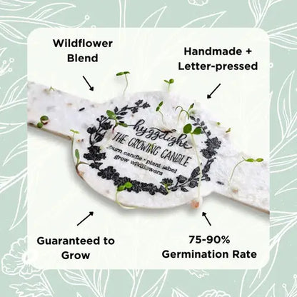 Edith | Growing Candles, flower seed-label, eco-friendly: Lavender