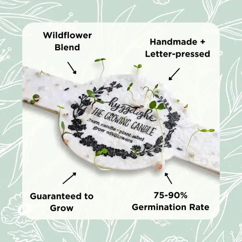 Adelyn | Growing Candle, flower seed-label, eco-friendly: Unscented